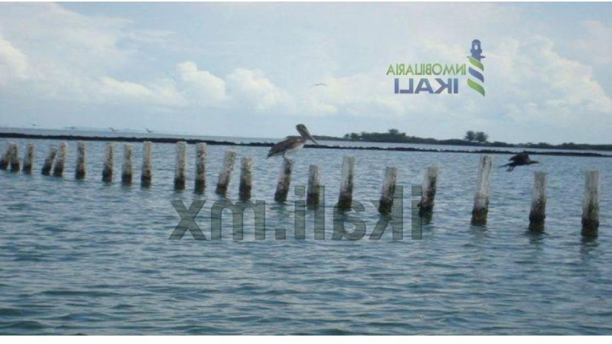 Terrain à Veracruz, Mexico No. 203685