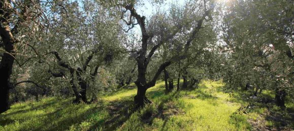 Villa T5 em Larciano, Italy N.º 85199 14