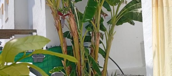 3 bedrooms Townhouse in Andalusia, Spain No. 141640 19