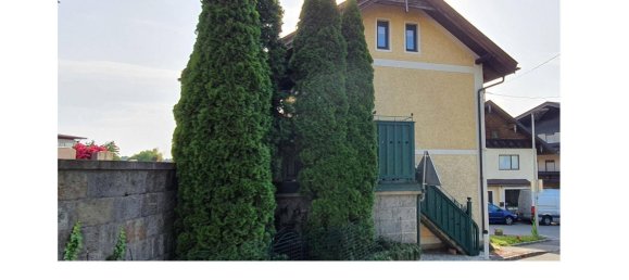 Casa de 1 dormitorio en Tarsdorf, Austria No. 145772 16