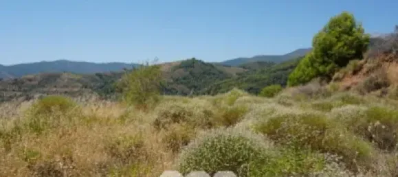 3 bedrooms House in Yunquera, Spain No. 53260 22