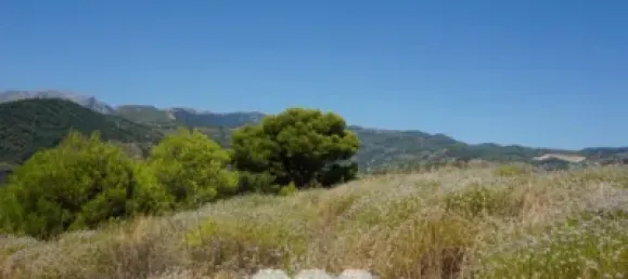 3 bedrooms House in Yunquera, Spain No. 53260 20