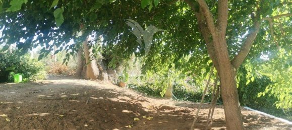 5 bedrooms House in Beja, Portugal No. 40997 15