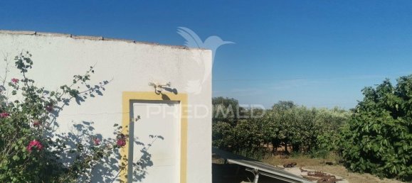 5 bedrooms House in Beja, Portugal No. 40997 16