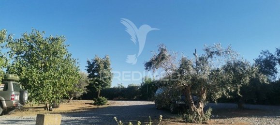 5 bedrooms House in Beja, Portugal No. 40997 17