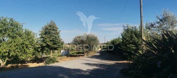 5 bedrooms House in Beja, Portugal No. 40997 18