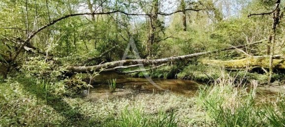 4 Schlafzimmer Haus in Vitry-aux-Loges, France, Nr. 60518 2