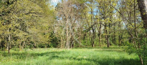 4 Schlafzimmer Haus in Vitry-aux-Loges, France, Nr. 60518 3