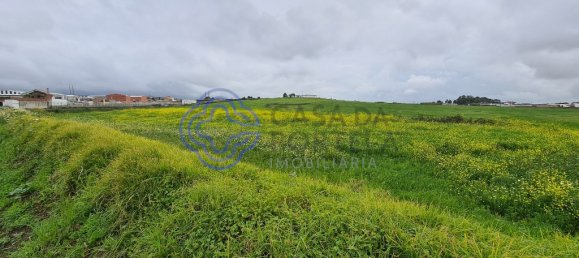 Grundstück in Marco de Canaveses, Portugal 40560m², Nr. 58430 3