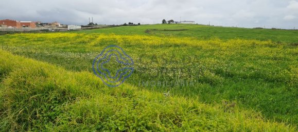 Grundstück in Marco de Canaveses, Portugal 40560m², Nr. 58430 10