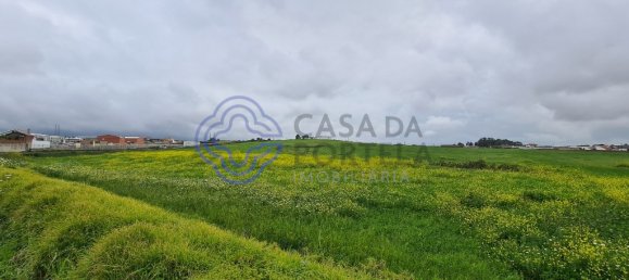 Grundstück in Marco de Canaveses, Portugal 40560m², Nr. 58430 4