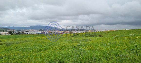 Grundstück in Marco de Canaveses, Portugal 40560m², Nr. 58430 16