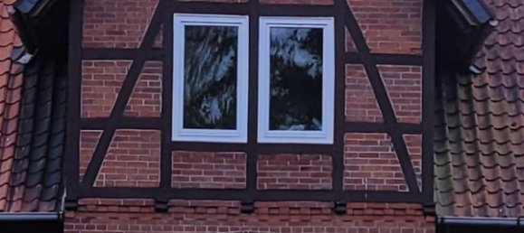 4 bedrooms Farm in Nienburg, Germany No. 223817 7