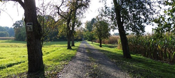 4 bedrooms Farm in Nienburg, Germany No. 223817 2
