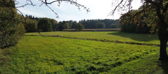 4 bedrooms Farm in Nienburg, Germany No. 223817 18