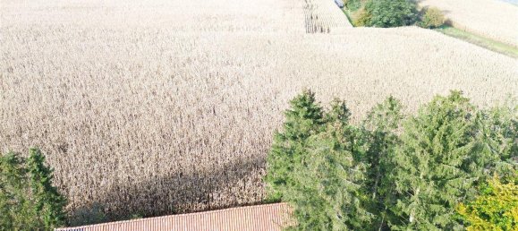 4 bedrooms Farm in Nienburg, Germany No. 223817 19