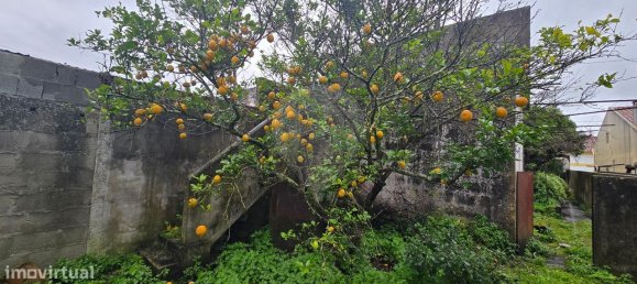 3 bedrooms House in Tramagal, Portugal No. 199607 14