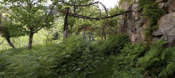 3 bedrooms House in Santiago de Piaes, Portugal No. 183239 5