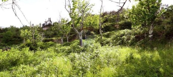 3 bedrooms House in Santiago de Piaes, Portugal No. 183239 11