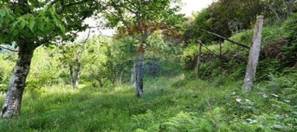 3 bedrooms House in Santiago de Piaes, Portugal No. 183239 15