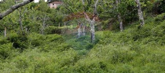 3 bedrooms House in Santiago de Piaes, Portugal No. 183239 10