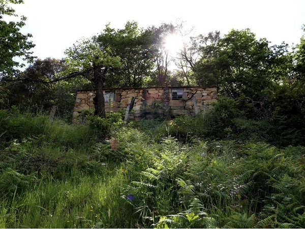 3 bedrooms House in Santiago de Piaes, Portugal No. 183239