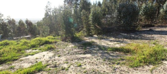 2320m² Land in Leiria, Portugal No. 71489 3