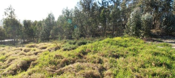 2320m² Land in Leiria, Portugal No. 71489 2