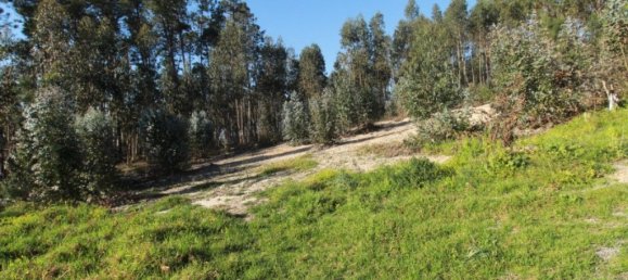 2320m² Land in Leiria, Portugal No. 71489 4