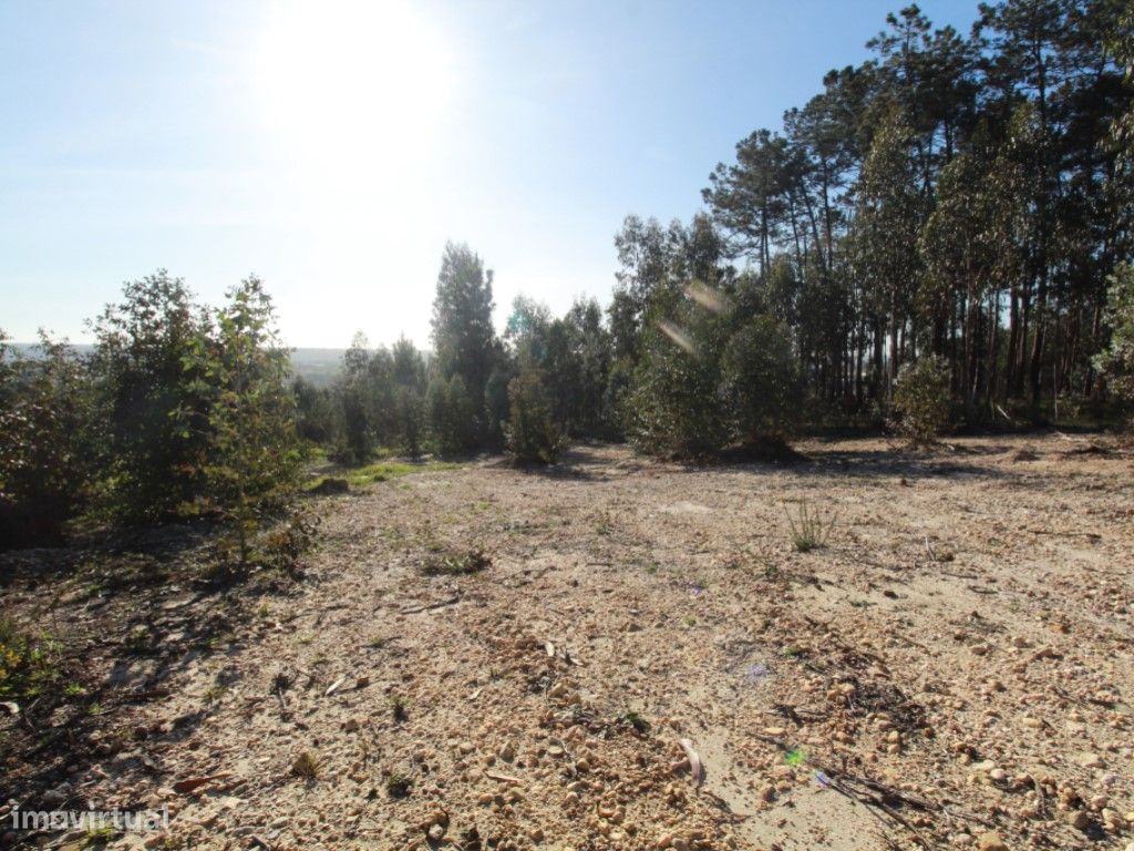 2320m² Land in Leiria, Portugal No. 71489