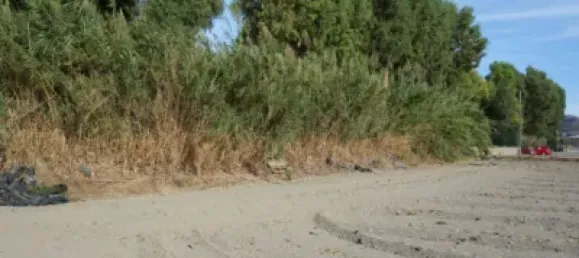 Grundstück in Granada, Spain, Nr. 179870 2