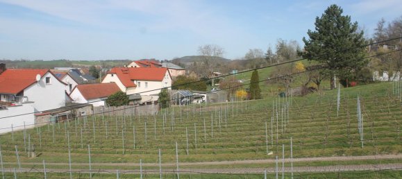 3 bedrooms House in Saxony, Germany No. 198145 2