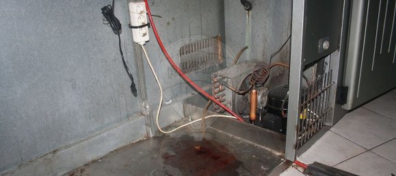 Lagerhaus in Penacova, Portugal 56m², Nr. 52093 8