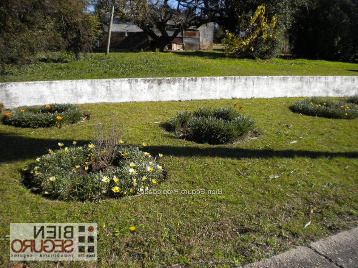 4 bedrooms House in Canelones, Uruguay No. 12483
