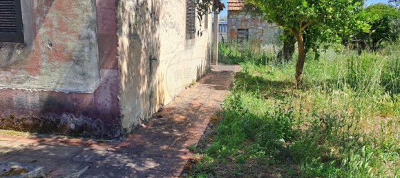 1 chambre Maison à Ferreira do Zezere, Portugal No. 21393 18