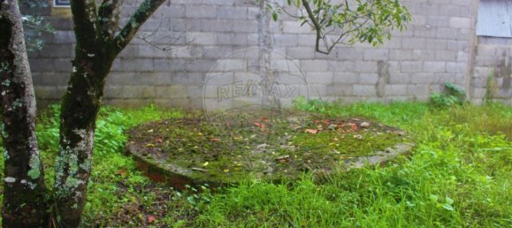 1 chambre Maison à Ferreira do Zezere, Portugal No. 21393 16