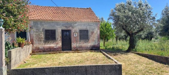 1 chambre Maison à Ferreira do Zezere, Portugal No. 21393 21