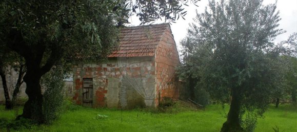 1 chambre Maison à Ferreira do Zezere, Portugal No. 21393 17