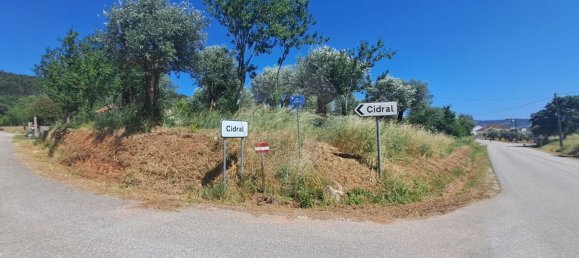 1 chambre Maison à Ferreira do Zezere, Portugal No. 21393 4