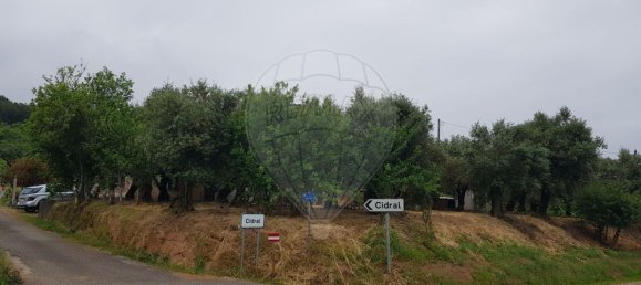 1 chambre Maison à Ferreira do Zezere, Portugal No. 21393 3