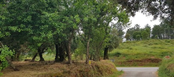 1 chambre Maison à Ferreira do Zezere, Portugal No. 21393 15