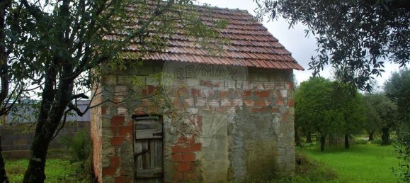 1 chambre Maison à Ferreira do Zezere, Portugal No. 21393 11