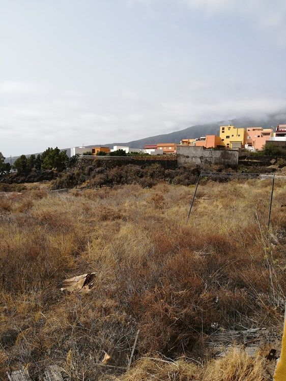  قطعة أرض في Guimar, Spain 1متر مربع رقم 119819