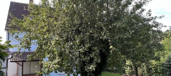 8-salle Maison à Furth, Germany No. 211693 16