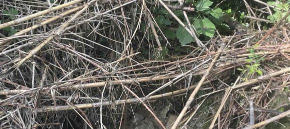  Land in Rosignano Marittimo, Italy No. 312462 20