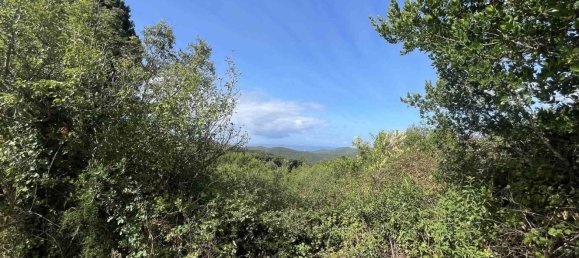  Land in Rosignano Marittimo, Italy No. 312462 16