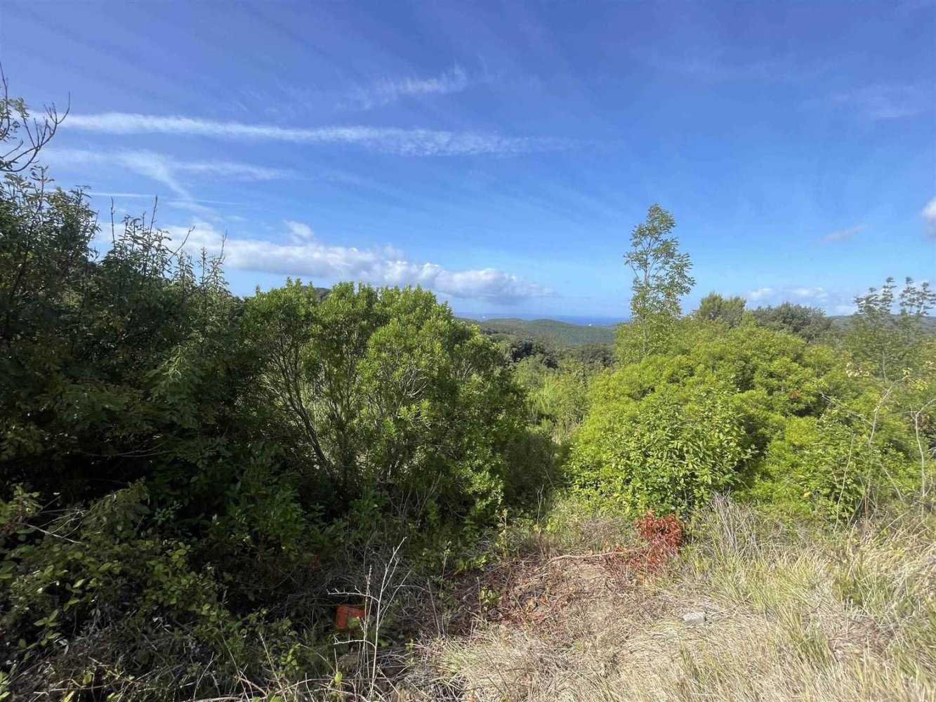  Land in Rosignano Marittimo, Italy No. 312462