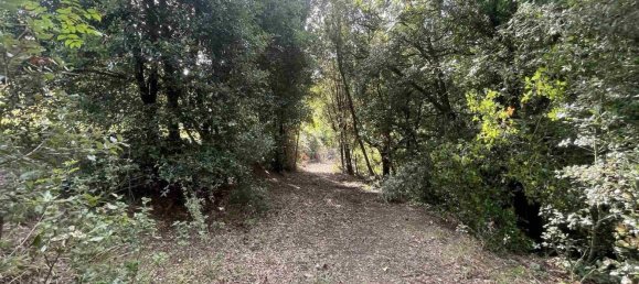  Land in Rosignano Marittimo, Italy No. 312462 6