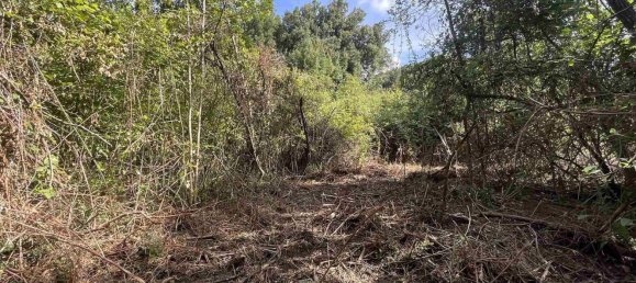  Land in Rosignano Marittimo, Italy No. 312462 9