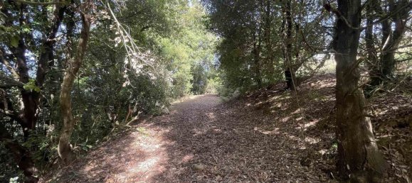  Land in Rosignano Marittimo, Italy No. 312462 12